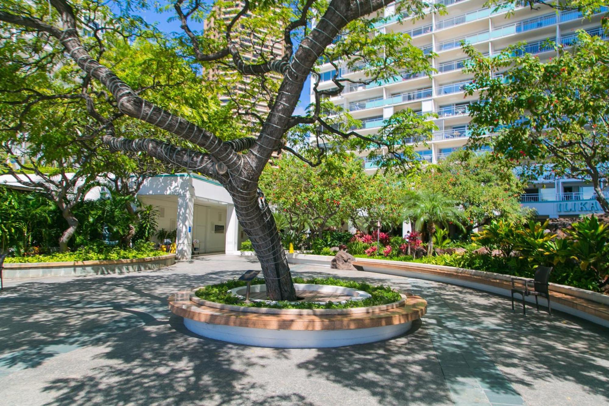 Ilikai Tower 936 Lagoon View 1BR Honolulu Zewnętrze zdjęcie